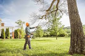 Best Storm Damage Tree Cleanup  in South Point, OH